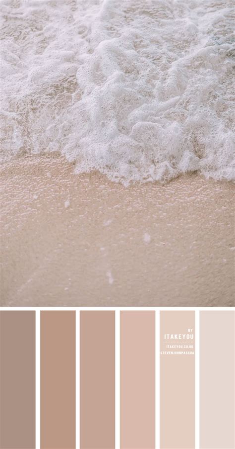 Neutral Brown Color Palette