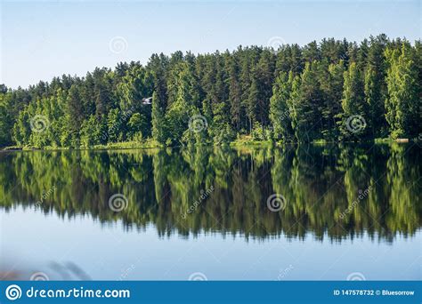 Reflexiones De Los Rboles De La Orilla En El Agua Tranquila De Un Lago