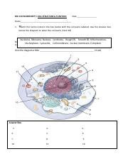 Mod Bio Work Sheet Cell Structure And Function Krc