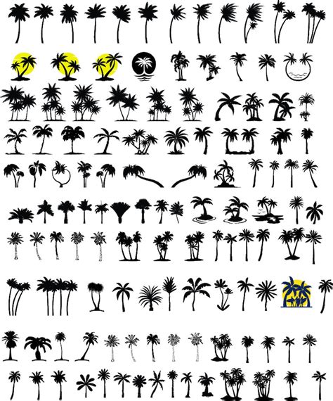 Palm Tree Svg Bundle Palm Tree Png Bundle Palm Tree Clipart Palm Tree