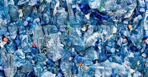 Scientists Claim New Enzyme Can Break Down Plastic In A Single Week