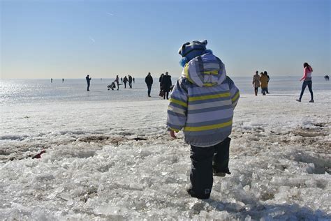 Winter Gulf Of Finland Ice - Free photo on Pixabay - Pixabay