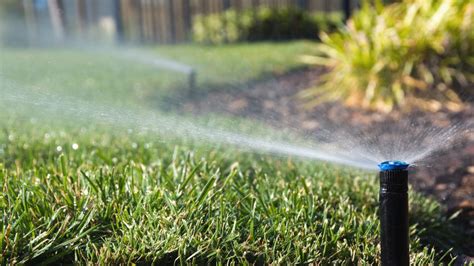 Reasons Why Your Grass Isn T Growing And How To Fix It Tips For A Lush Lawn Global Ideas