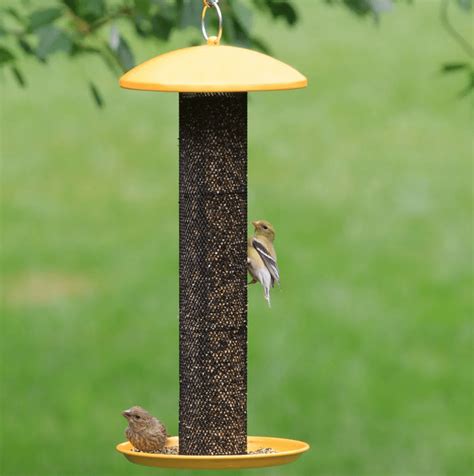 The Best Finch Feeders to Serve Thistle Seed - Birds and Blooms