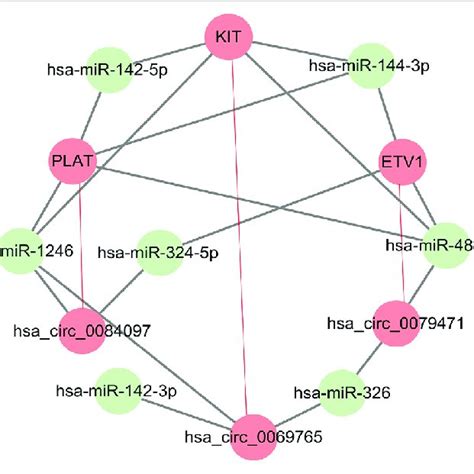 Functional Pathway Analysis Of Targeted Genes Of Predicted Mirnas And