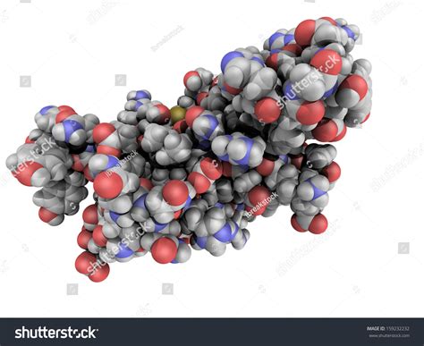 Chemical Structure Human Prion Protein Molecule Stock Illustration