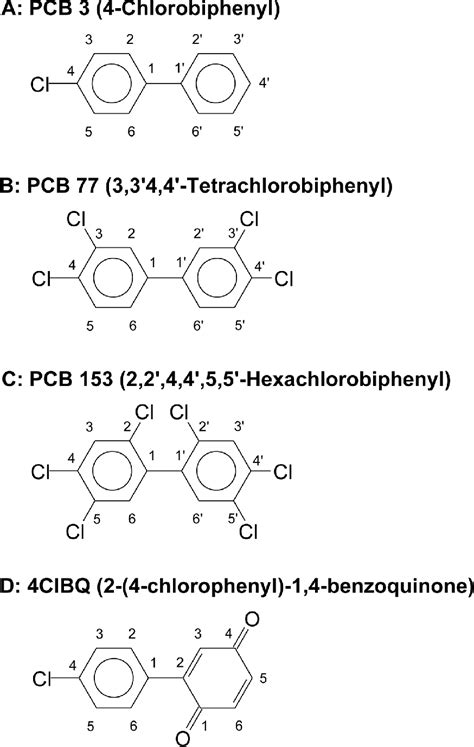 Figure 1 From Polychlorinated Biphenyl Pcb Induced Oxidative Stress