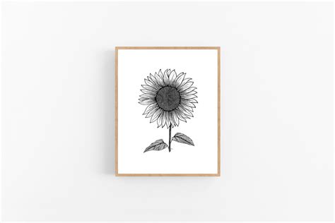 Sunflower Ink Sketch Print / Kansas State Flower Printable / - Etsy