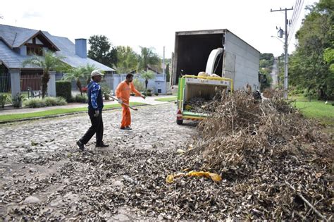 Confira em quais bairros está sendo realizado o recolhimento de galhos