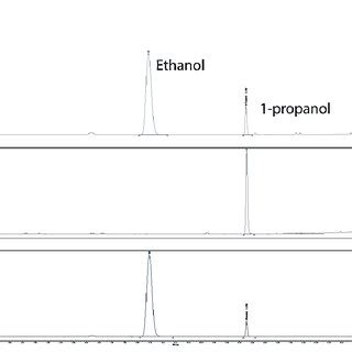 Gas Chromatograms Of Commercial Kombucha And Ethanol Reference A An