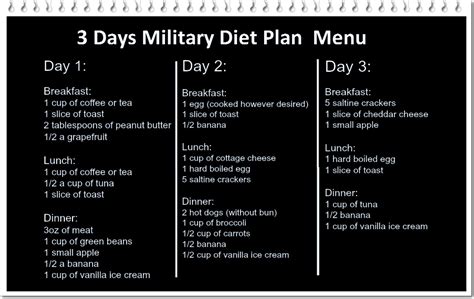 3 Days Military Diet Plan Does It Work Homeopathic Treatment And Remedies