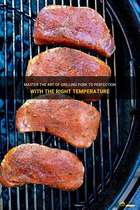 Master The Art Of Grilling Pork To Perfection With The Right Temperature Shungrill