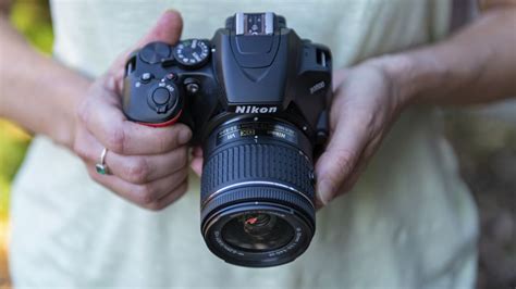 Best Beginner Dslrs For Top Cameras For New Photographers Techradar