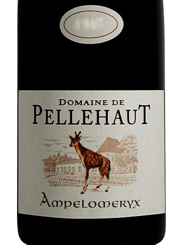 2019 Domaine De Pellehaut Ampelomeryx Rouge Vivino US