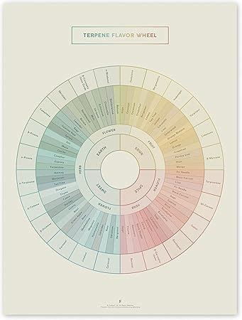 Amazon.com: Goldleaf Terpene Flavor Wheel Art Print, Minimalist Terpenes Infographic Poster ...