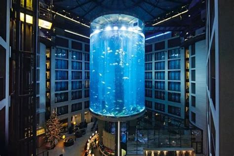 AquaDom at Radisson Blu - Berlin in 2024 | Berlin, Sea life berlin ...