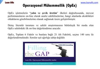 Operasyonel Mükemmellik Analizi PPT