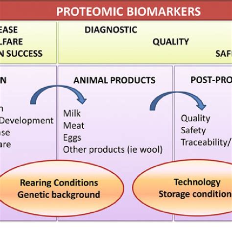 1 Schematic Illustration Of Proteomics Approaches To Improve Farm