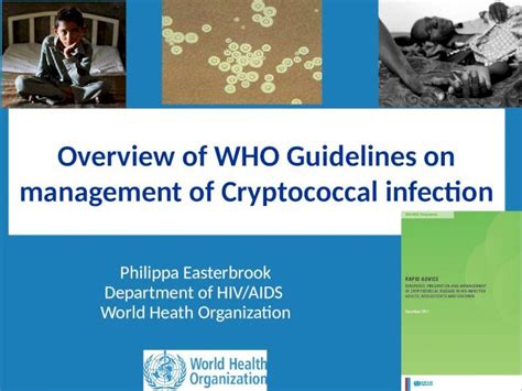 Pptx Overview Of Who Guidelines On Management Of Cryptococcal Infection Dokumentips