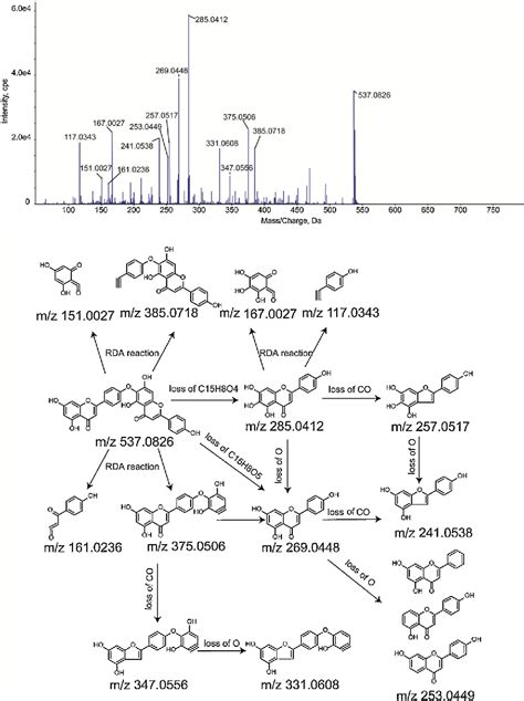 Figure 2 From UHPLCQTOFMS MS Method Based On Fourstep Strategy For