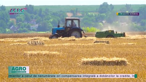 Creditele Pentru Fermierii Din Moldova Tot Mai Scumpe AGRO TV News