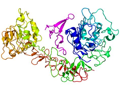 EGFR Laboratory Testing And Research