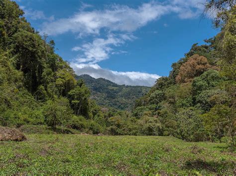 Volcan Baru National Park | Mustseespots.com