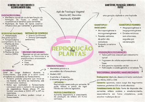 MAPA MENTAL REPRODUÇÃO DAS PLANTAS Exercícios Fisiologia