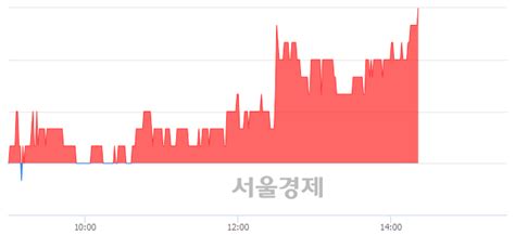 동방 300 오르며 체결강도 강세 지속313 서울경제