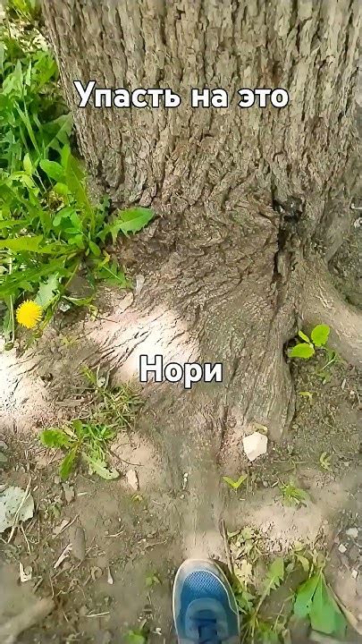 в конце кусок от арматуры если не видно - YouTube