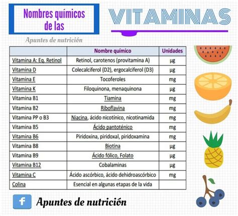 Pin De Danae En Nutrici N Retinol Vitamina E Nutrici N