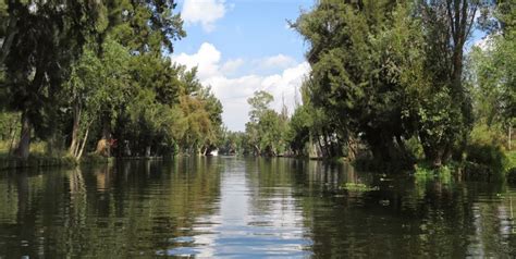 Historia de Xochimilco todo lo que aún desconoce sobre esta hermosa ciudad