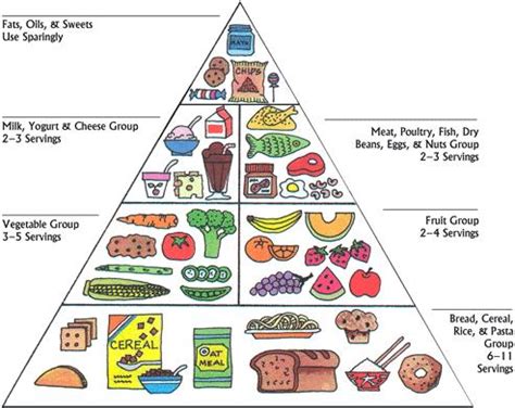 The Food Pyramid Chart | Health Tips