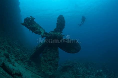 Unteres Versunkenes Schiffswrack Unterwasser Stockbild - Bild von ...