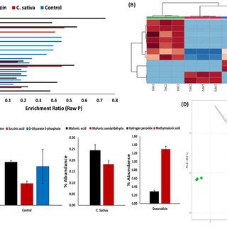 Effect Of C Sativa On Glucose Metabolism In MCF 7 Cells A Glucose