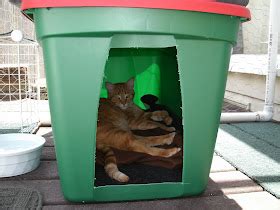 The Very Best Cats: How to Make a Winter Shelter for an Outdoor Cat