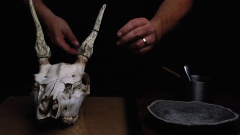 Dark Mofo Offeres Expanded Nude Swim Mind Bending Dishes At The Winter Feast Townsville