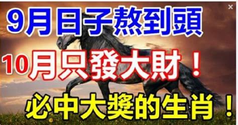 9月苦日子熬到頭，10月只發大財中大獎，必腰纏萬貫的生肖！ Peekme