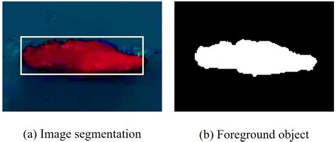 Sensors Free Full Text Moving Object Detection In Freely Moving