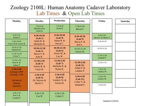 Human Anatomy Laboratory Manual Christine Eckel