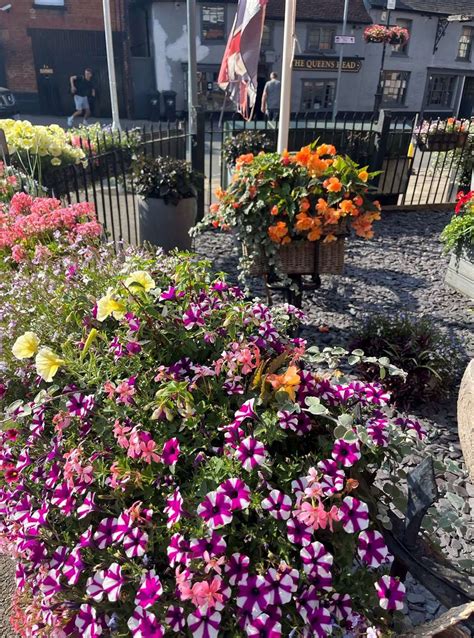 Anglia In Bloom Blooming Marvellous Result As Stansted Wins Four Awards