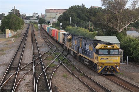 Bs On Waratah Garry Holt Flickr