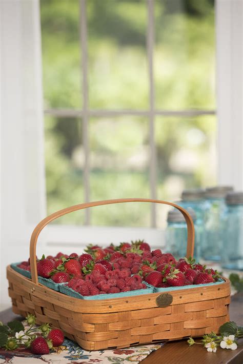 Berry Basket Harvest Berry Gathering Basket Berry