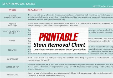 Printable Stain Removal Chart By Martha Stewart Stain Removal Chart