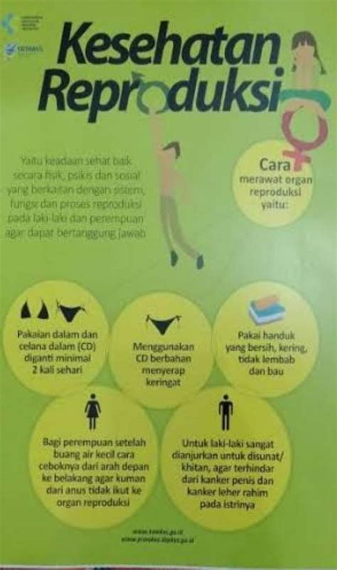 Poster Pencegahan Penyakit Pada Sistem Reproduksi Manusia