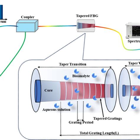 Schematic Diagram Of Linearly Tapered Fiber Bragg Grating Sensor