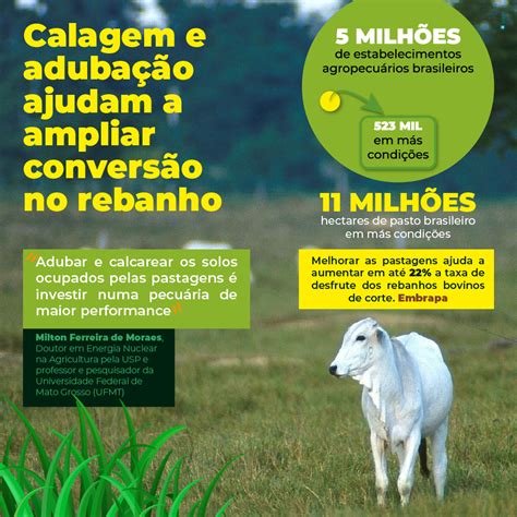 Manejo Do Solo Ajuda Pecuarista A Engordar O Rebanho