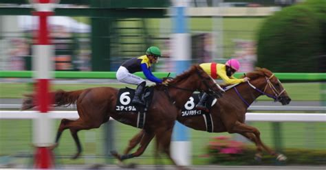 72日 1日パック｜🐴競馬初心者に優しい🐴予想家がんつ。