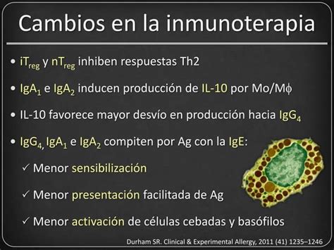 Mecanismos de acción de la inmunoterapia PPT Descarga Gratuita