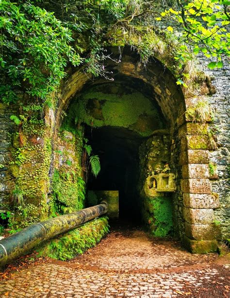 17+ Best Levada Walks in Madeira (+tips!)